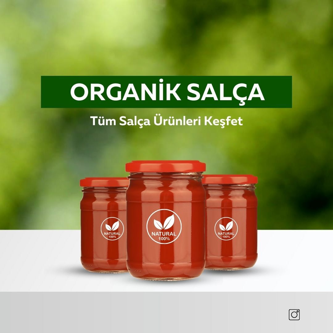 Organik Malzemelerle Ev Yapımı Salça Tarifleri

  Ev Yapımı Salça Saklama ve Kullanma İpuçları