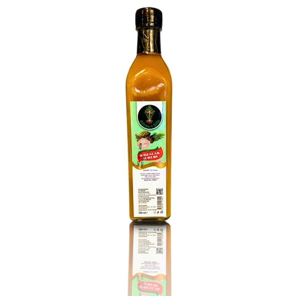 Adres-i Şifa Servi Kozalak Şurubu 500 ml