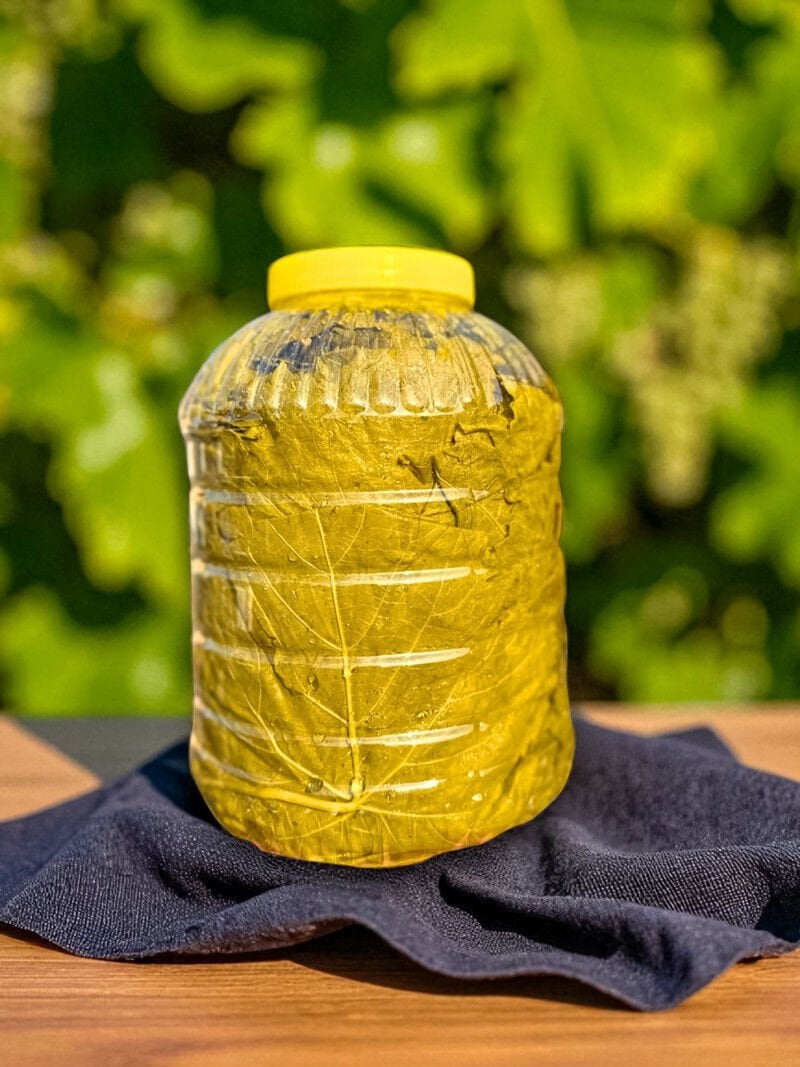 MANİSA YAPRAĞI 1 BİDON