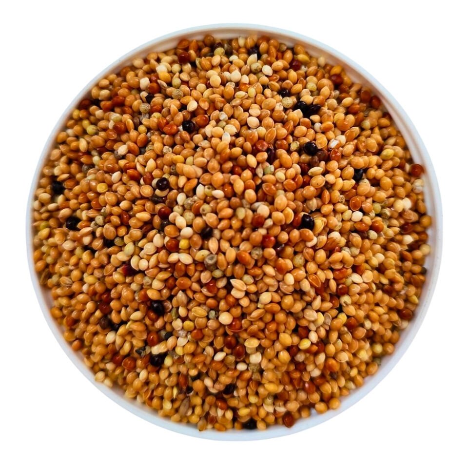 Koçak Bademci Kuşu Yemi  90 GR