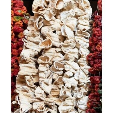 DOLMALIK KABAK KURUSU