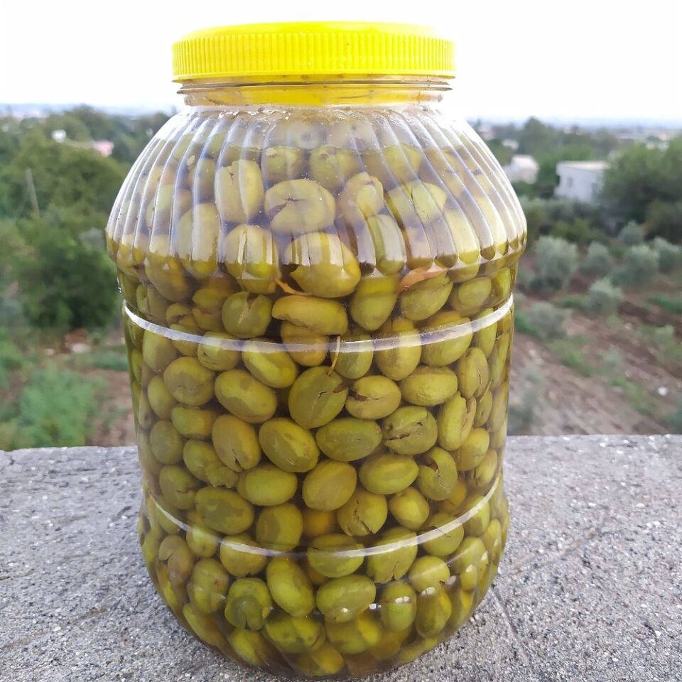 YEŞİL DERİK ZEYTİN BİDON