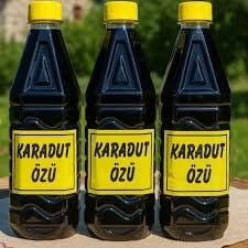KARADUT ÖZÜ' 1KĞ